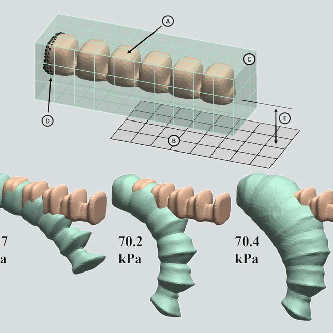 Automated Synthesis of Bending Pneumatic Soft Actuators